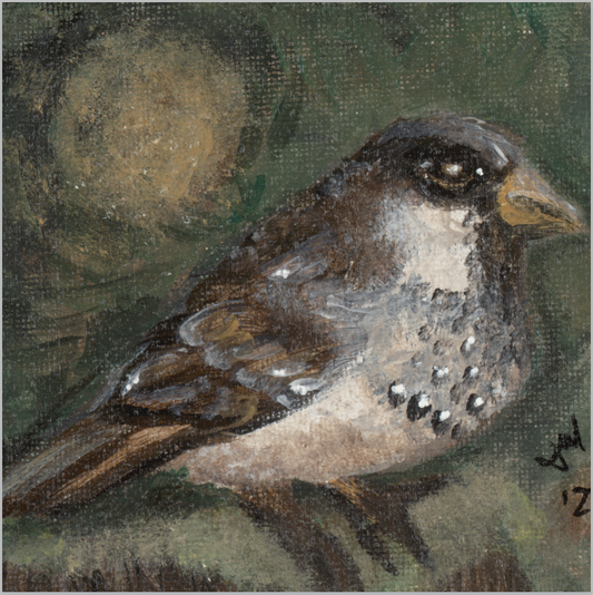 The Morning Anthem (Sparrow)