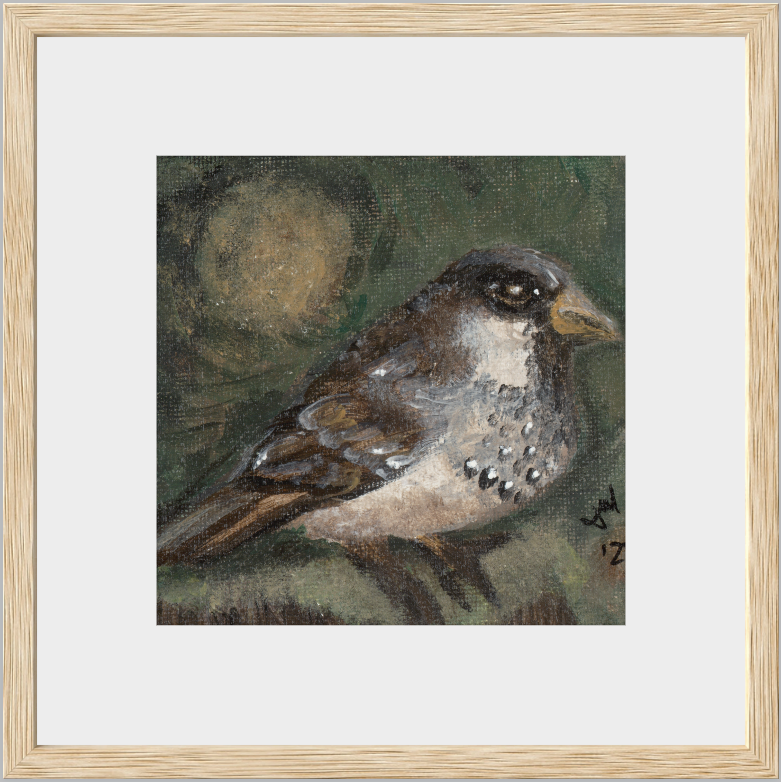 The Morning Anthem (Sparrow)