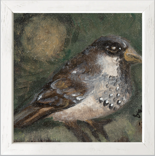 The Morning Anthem (Sparrow)