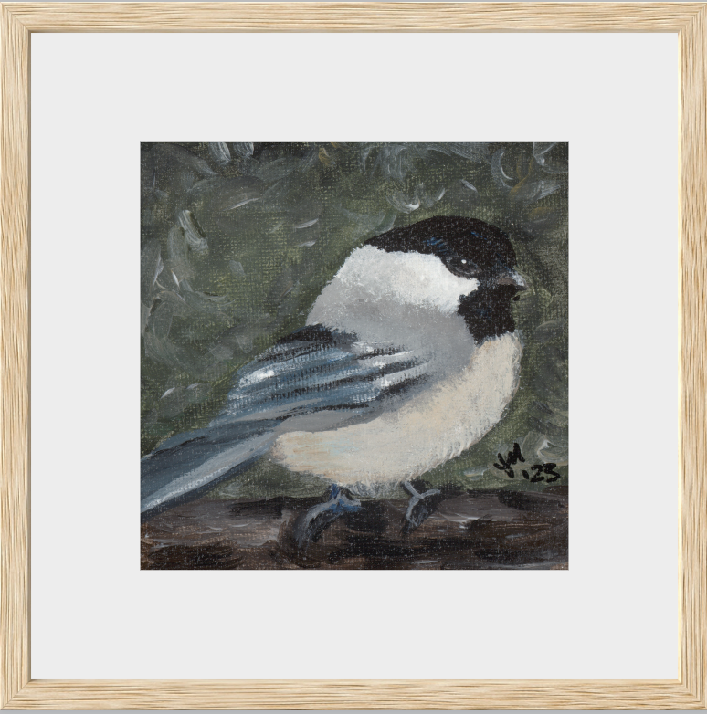The Little Cheerleader (Black-Capped Chickadee)