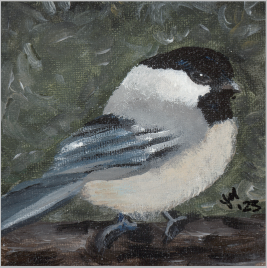 The Little Cheerleader (Black-Capped Chickadee)