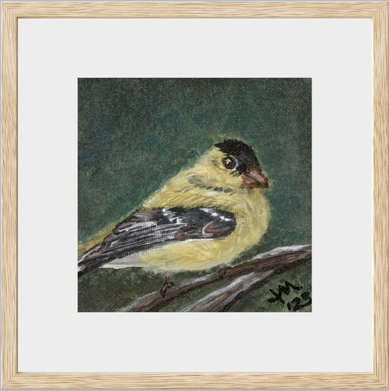 The Golden Joy (Goldfinch)