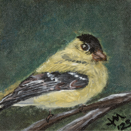 The Golden Joy (Goldfinch)