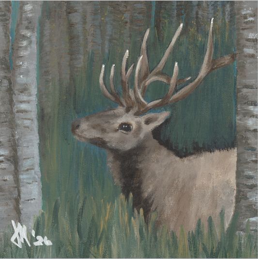 The Guardian (Bull Elk)