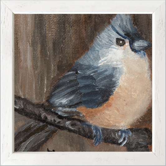 The Song of Serenity (Tufted Titmouse)