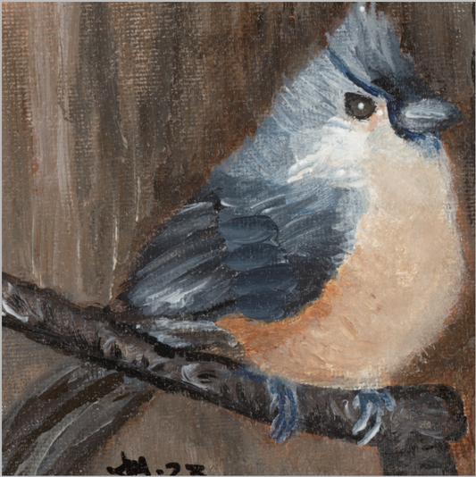 The Song of Serenity (Tufted Titmouse)