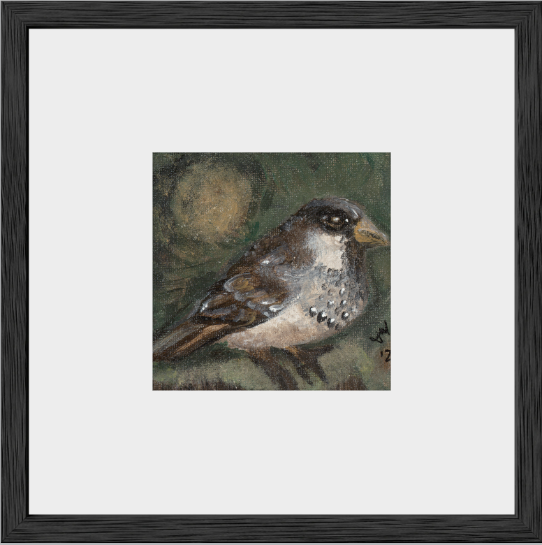 The Morning Anthem (Sparrow)