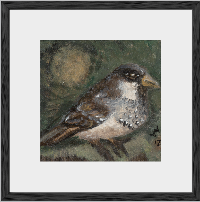 The Morning Anthem (Sparrow)