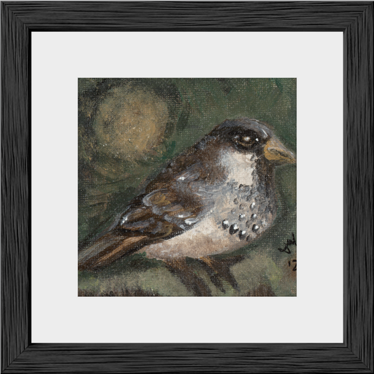The Morning Anthem (Sparrow)