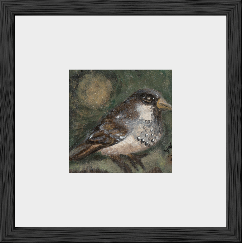 The Morning Anthem (Sparrow)