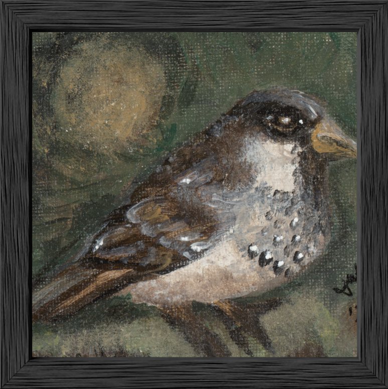 The Morning Anthem (Sparrow)