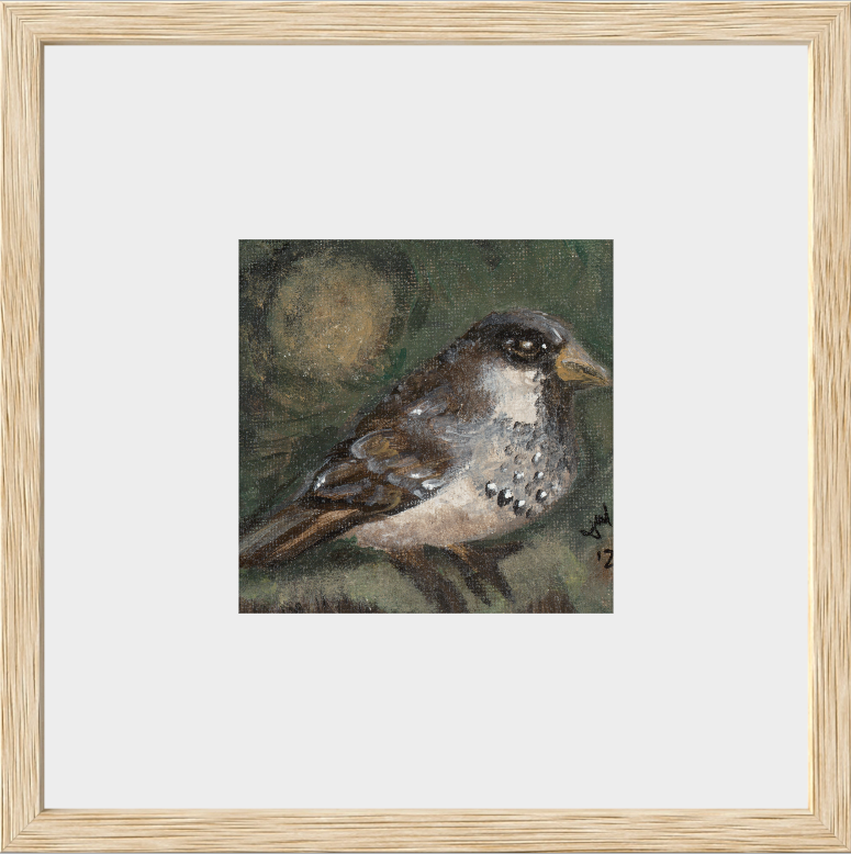 The Morning Anthem (Sparrow)