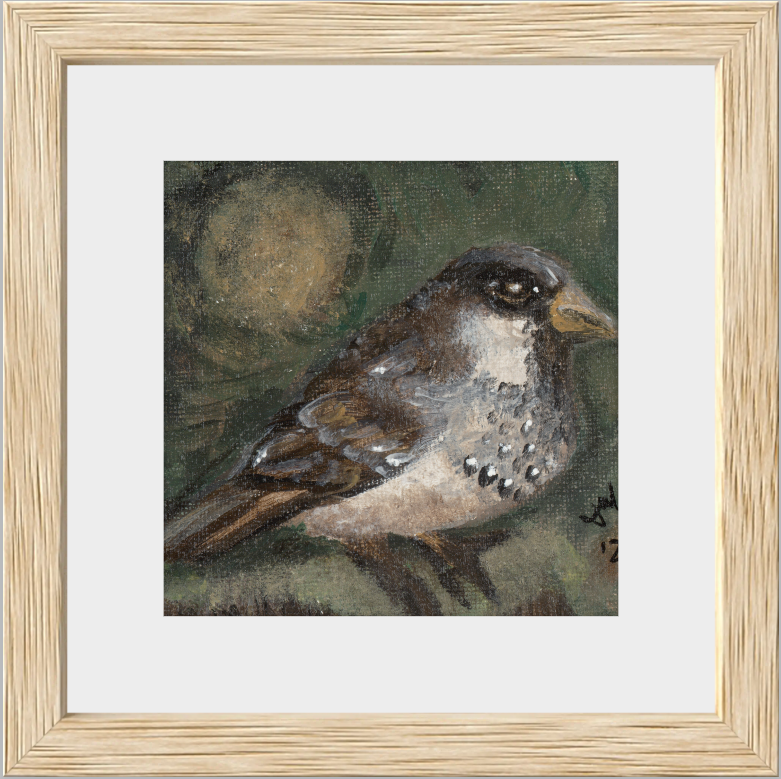 The Morning Anthem (Sparrow)