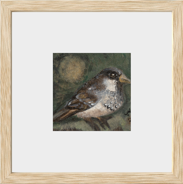 The Morning Anthem (Sparrow)