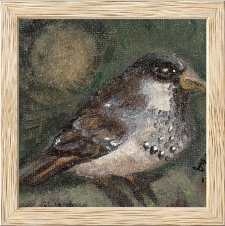 The Morning Anthem (Sparrow)