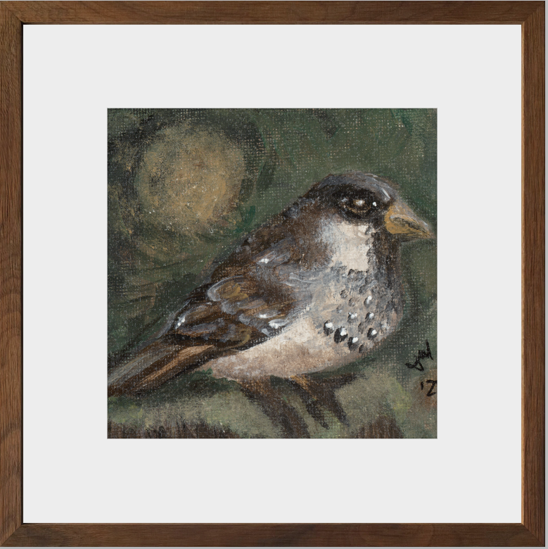 The Morning Anthem (Sparrow)