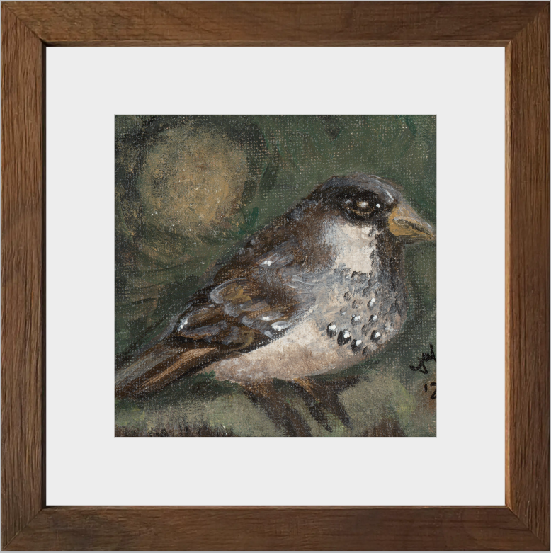 The Morning Anthem (Sparrow)