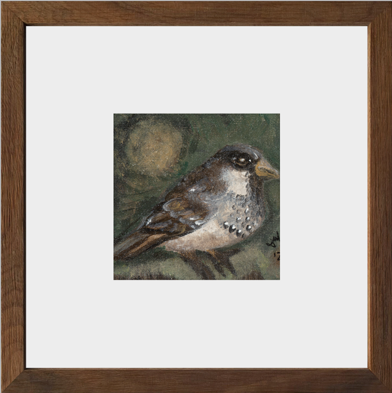 The Morning Anthem (Sparrow)