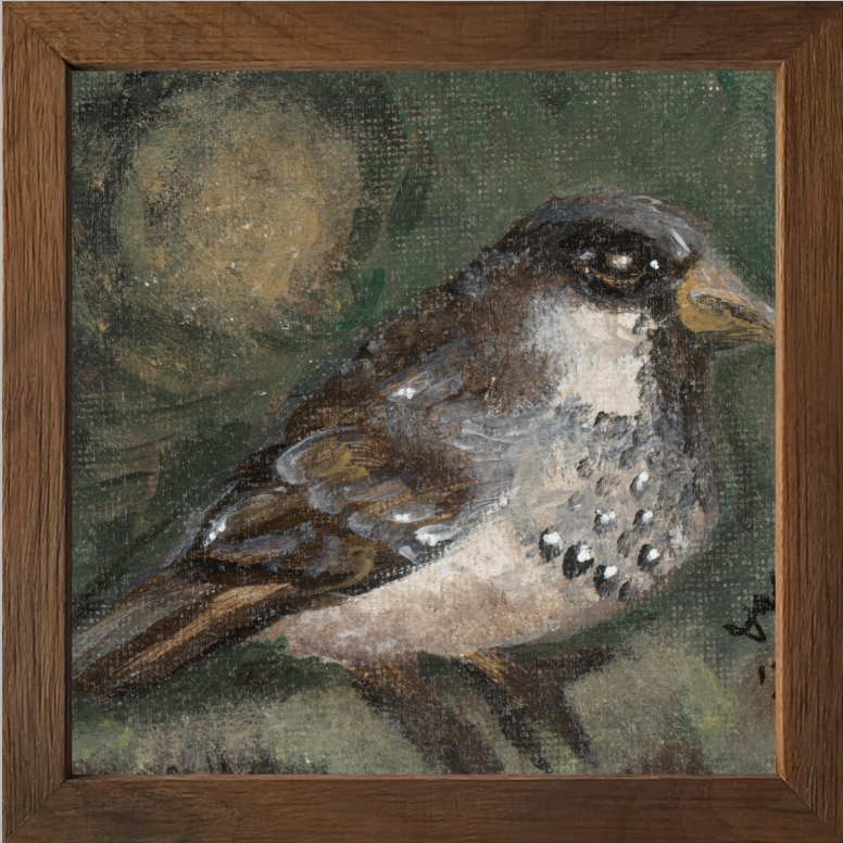The Morning Anthem (Sparrow)