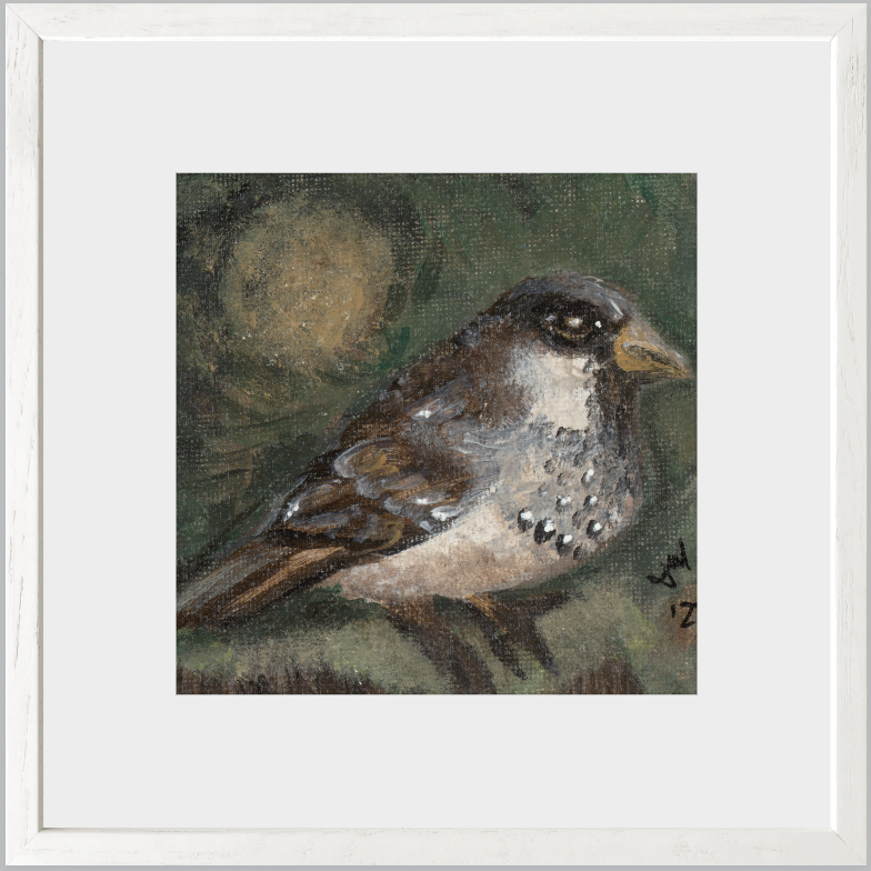 The Morning Anthem (Sparrow)