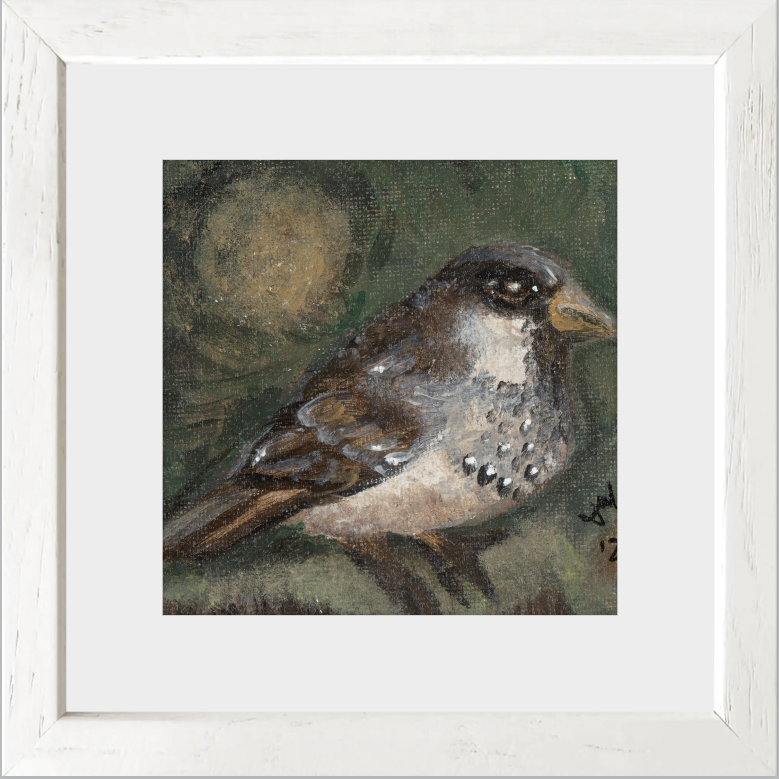 The Morning Anthem (Sparrow)