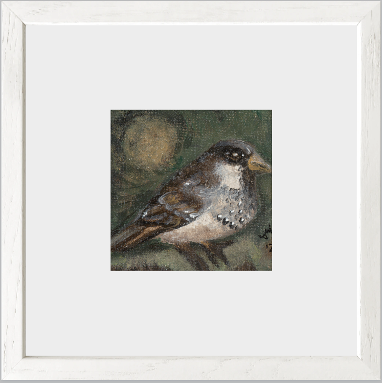 The Morning Anthem (Sparrow)