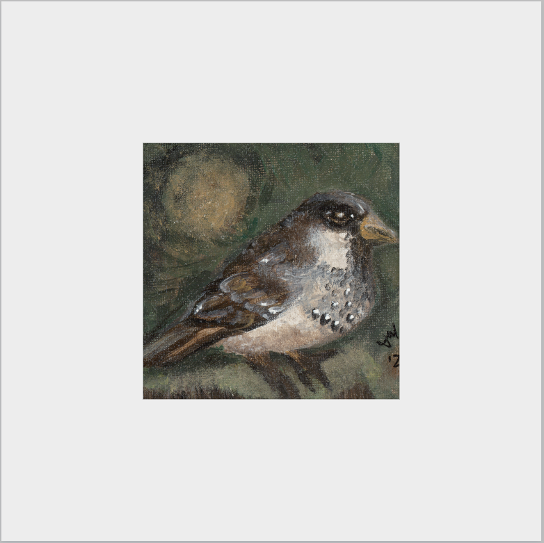 The Morning Anthem (Sparrow)
