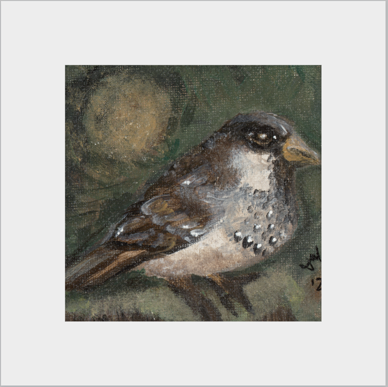 The Morning Anthem (Sparrow)