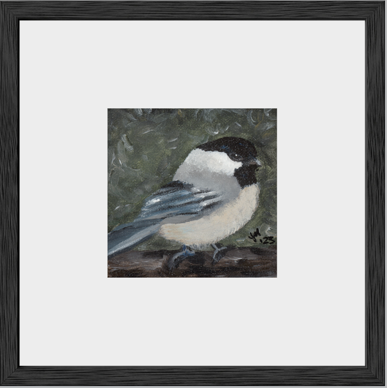 The Little Cheerleader (Black-Capped Chickadee)