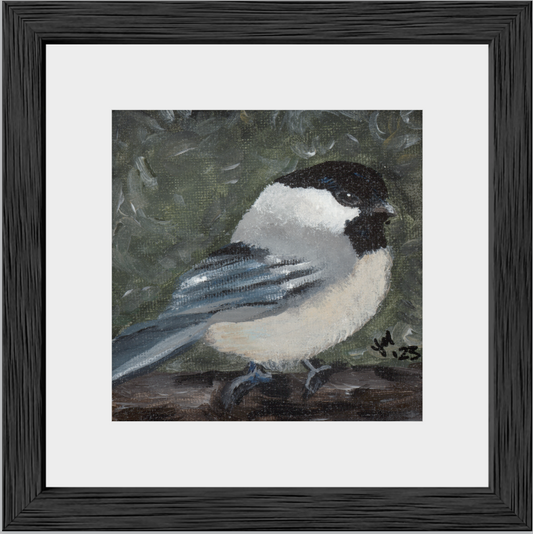 The Little Cheerleader (Black-Capped Chickadee)