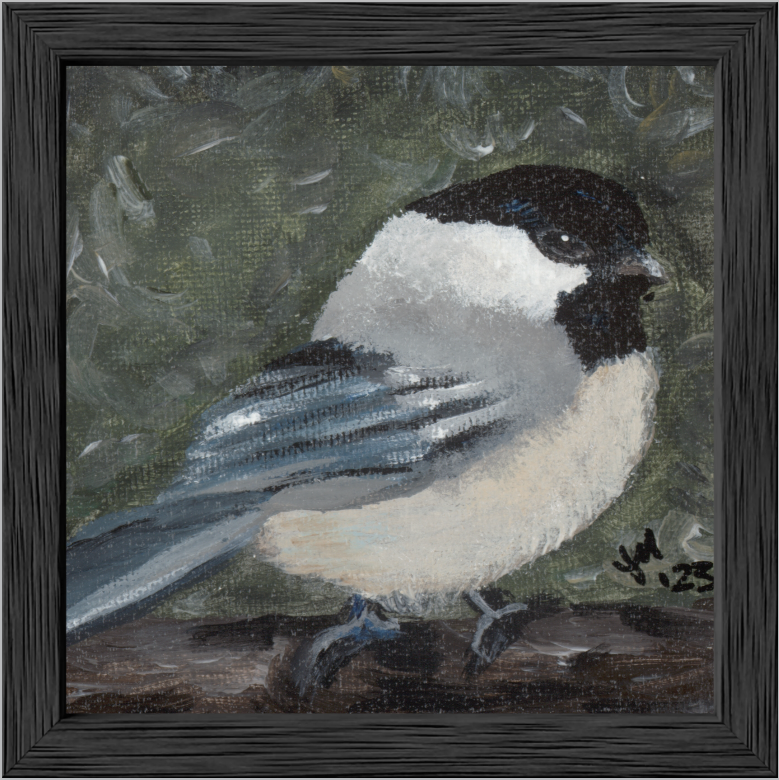 The Little Cheerleader (Black-Capped Chickadee)