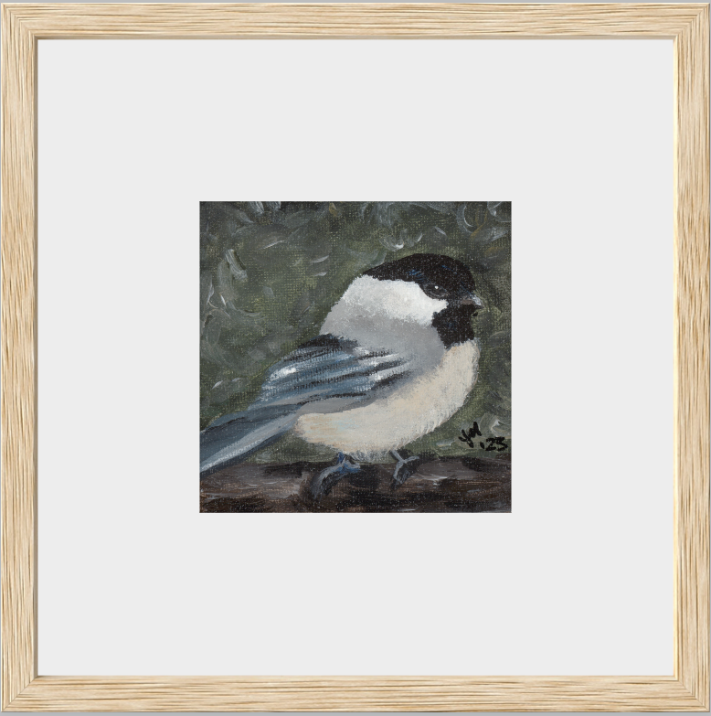 The Little Cheerleader (Black-Capped Chickadee)