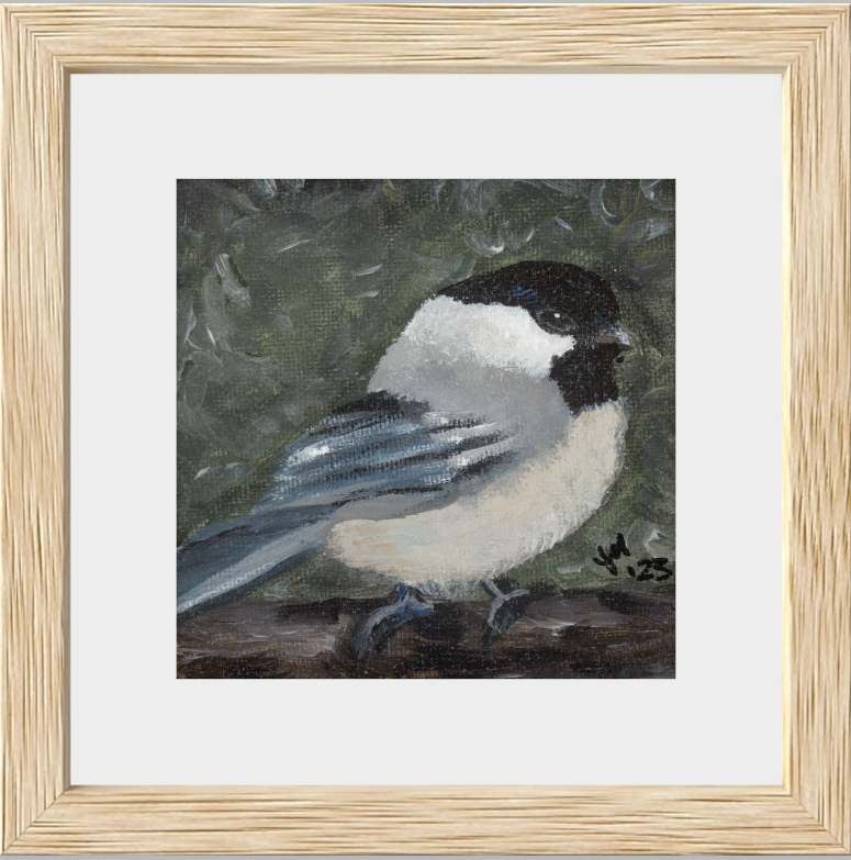 The Little Cheerleader (Black-Capped Chickadee)