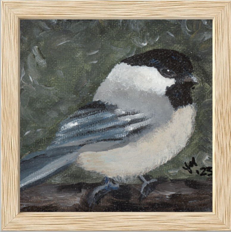 The Little Cheerleader (Black-Capped Chickadee)