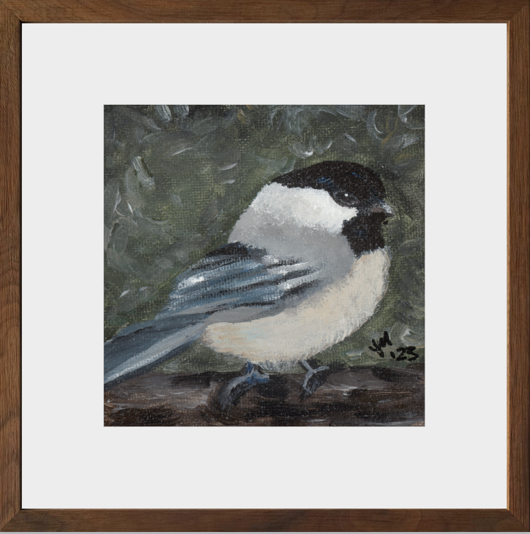 The Little Cheerleader (Black-Capped Chickadee)