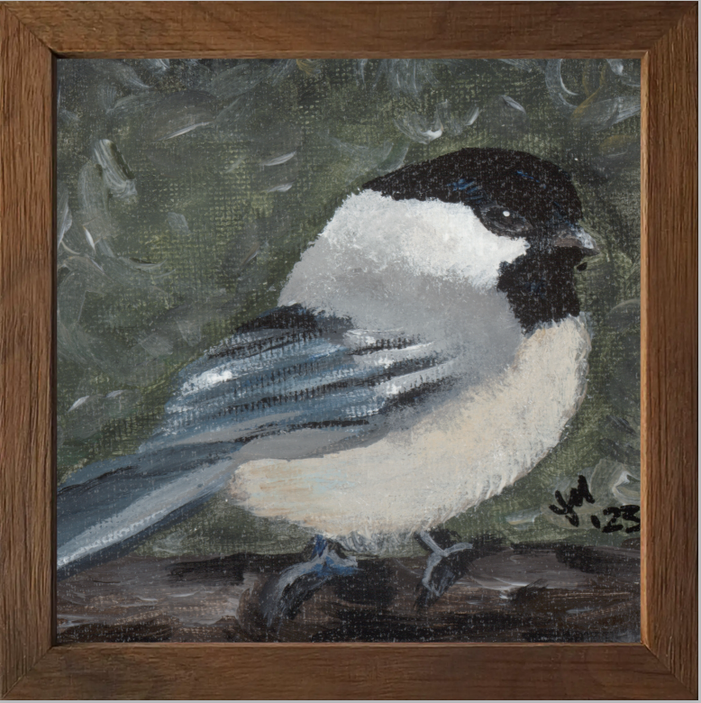 The Little Cheerleader (Black-Capped Chickadee)