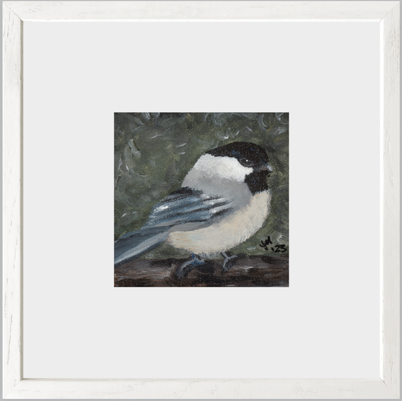 The Little Cheerleader (Black-Capped Chickadee)