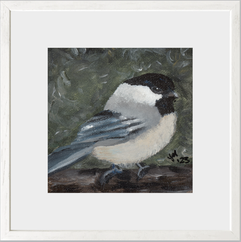 The Little Cheerleader (Black-Capped Chickadee)