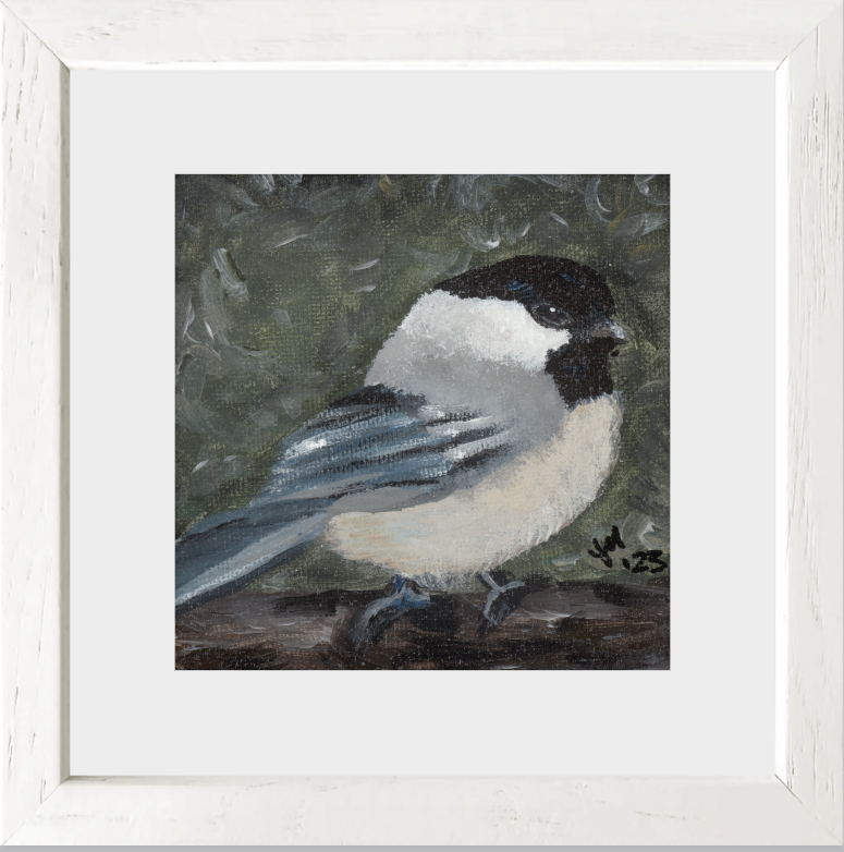 The Little Cheerleader (Black-Capped Chickadee)
