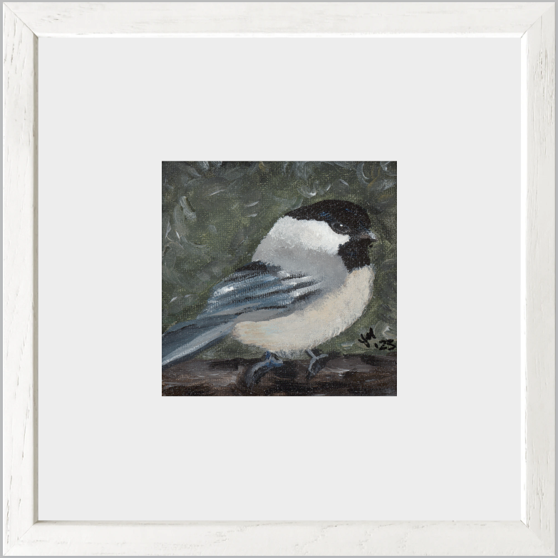 The Little Cheerleader (Black-Capped Chickadee)