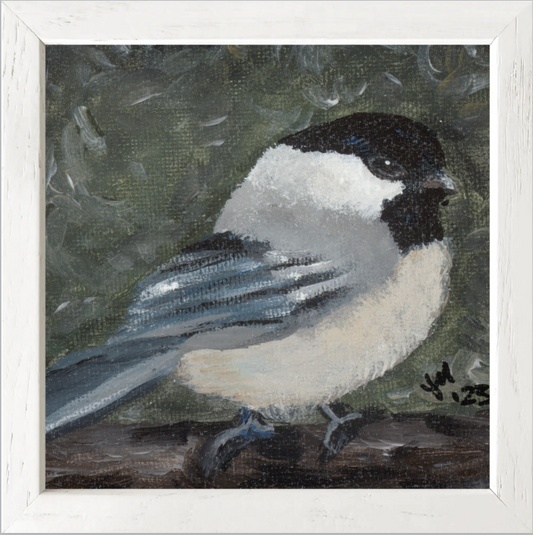 The Little Cheerleader (Black-Capped Chickadee)