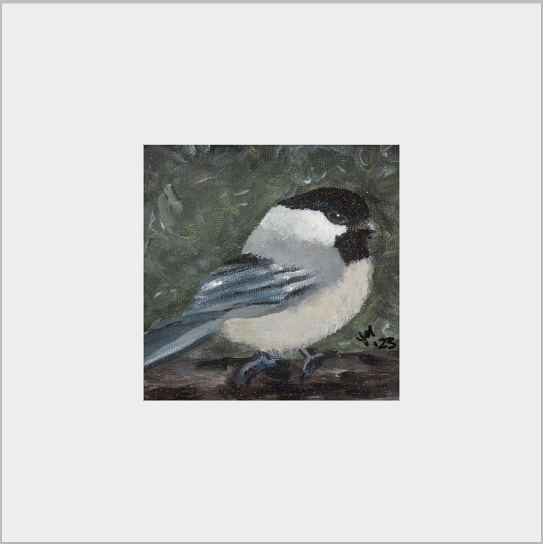 The Little Cheerleader (Black-Capped Chickadee)