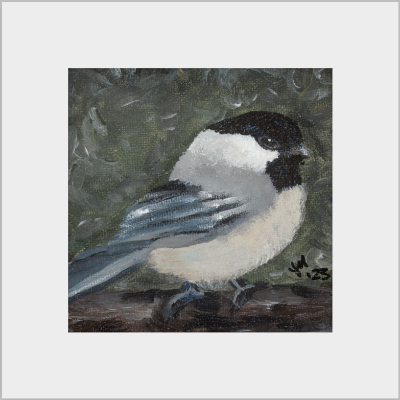 The Little Cheerleader (Black-Capped Chickadee)