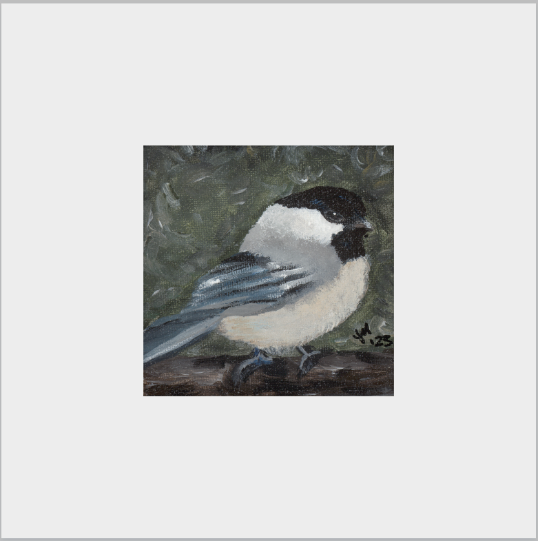 The Little Cheerleader (Black-Capped Chickadee)