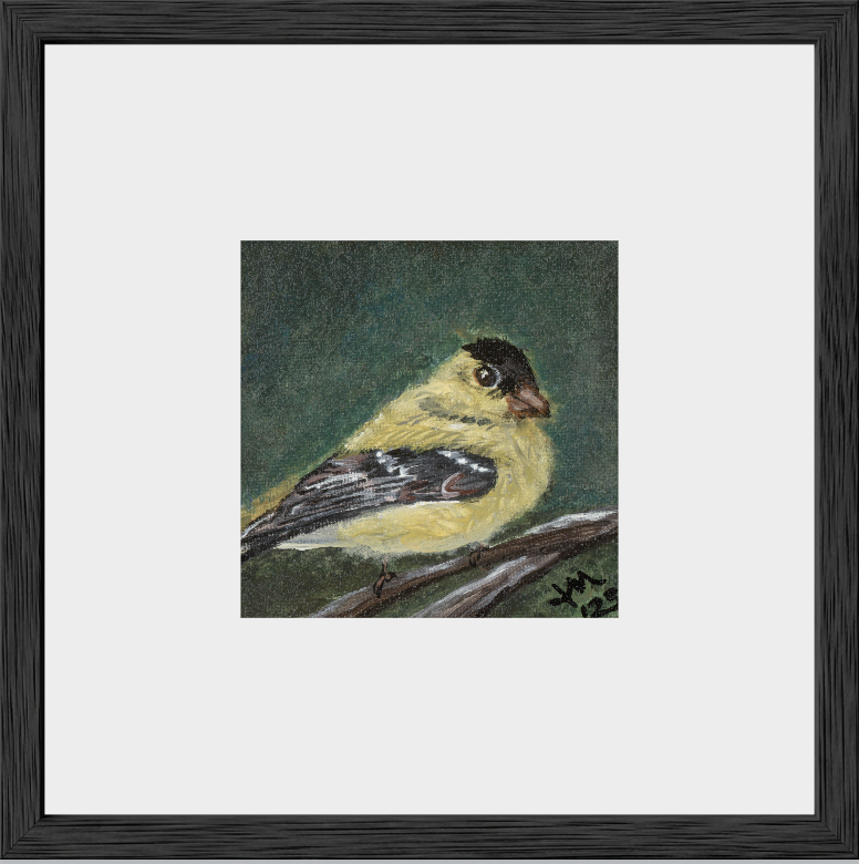 The Golden Joy (Goldfinch)