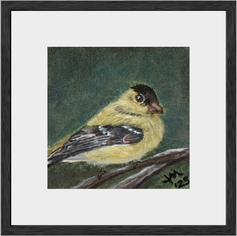The Golden Joy (Goldfinch)