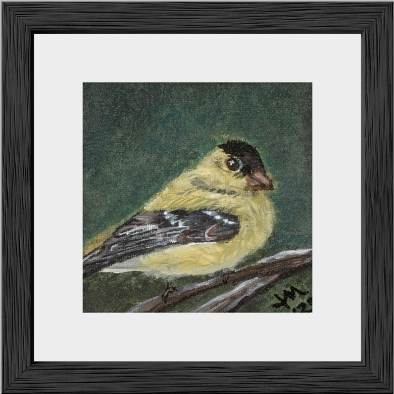 The Golden Joy (Goldfinch)
