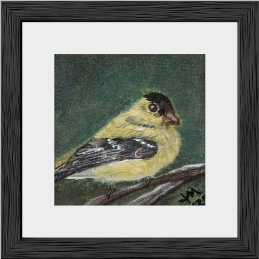 The Golden Joy (Goldfinch)
