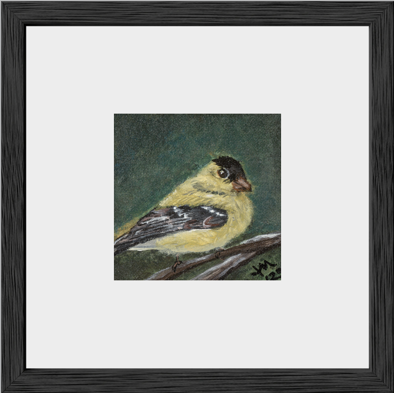 The Golden Joy (Goldfinch)
