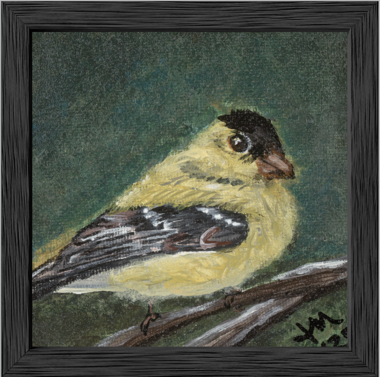 The Golden Joy (Goldfinch)